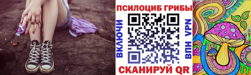 купить  цена  гидра ссылка  Псилоцибиновые грибы MAGIC MUSHROOMS  Зарайск 